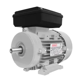 BDM — single-phase motors, dual capacitor