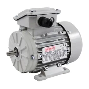 Low-voltage IEC electric motors